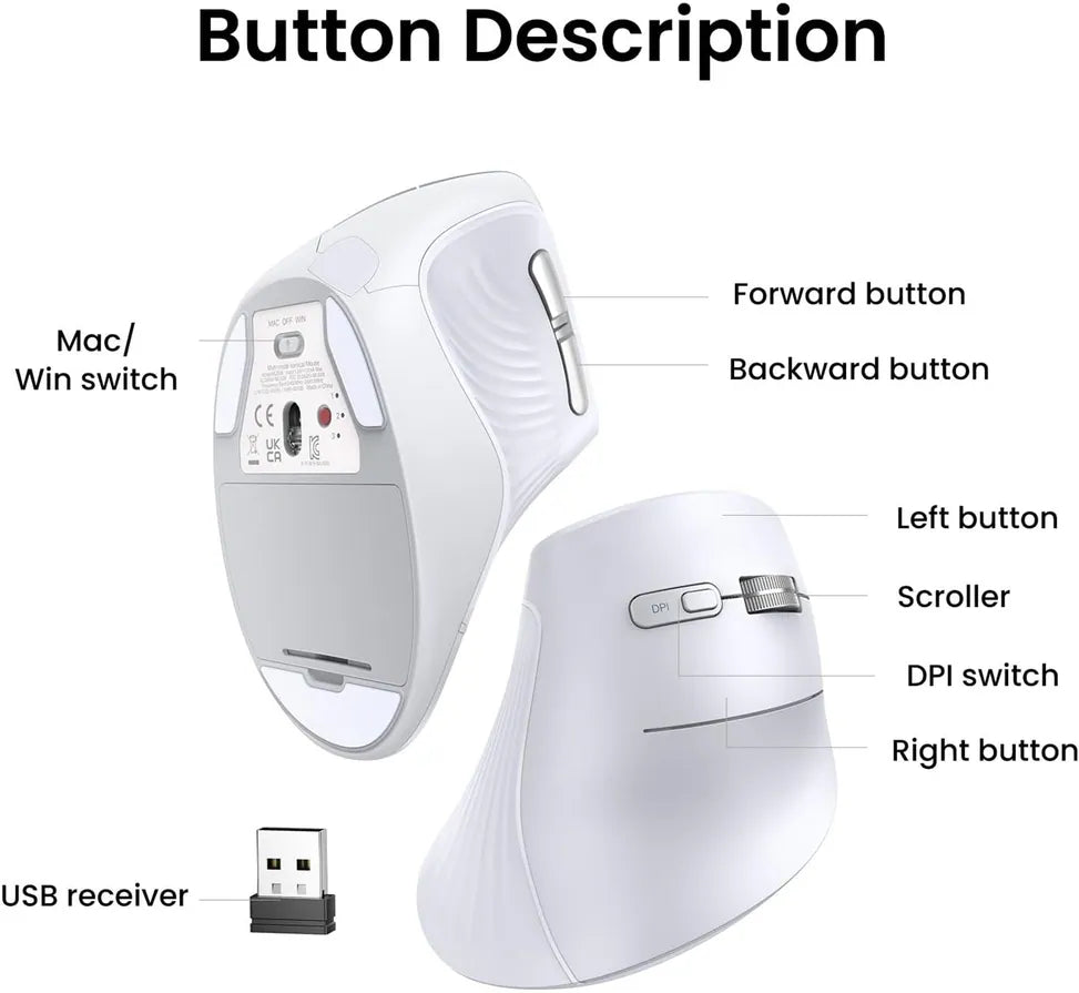 UGREEN SOURIS SANS FIL BLUETOOTH  VERTICAL -Blanc-